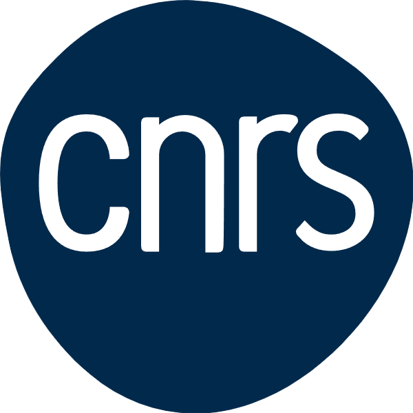 Bridges - CNRS logo (1)